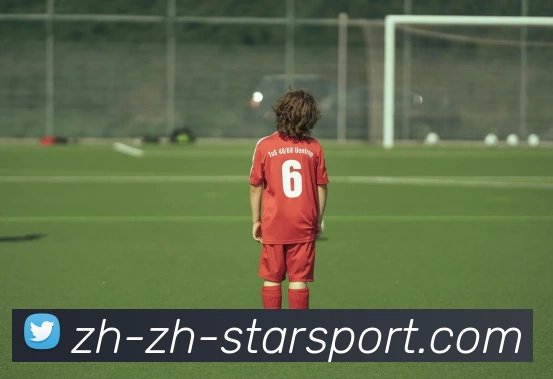 星空体育平台生态图